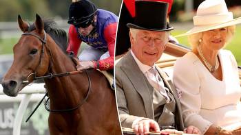 Inside the Royal racing operation: What does the future hold as 12 of King Charles' horses are set to be sold?