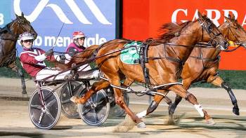 Inter Dominion: I Cast No Shadow out to give Jason Grimson first heat win