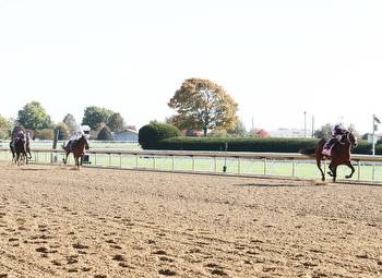 Into Mischief's Extra Anejo Romps To 'Stardom' On Debut At Keeneland