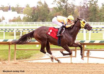 Inveigled Chasing Stakes Success in James F. Lewis III