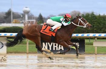 Irad Ortiz snaps yearly stakes record with Dr B in Go for Wand