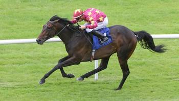 Irish 2,000 Guineas ante-post favourite Al Riffa to miss Curragh Classic this weekend