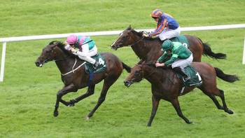 Irish 2,000 Guineas: key trainer quotes for Friday's big race at the Curragh