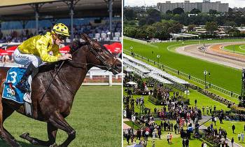 Irish-born superstar racehorse charges into early Melbourne Cup favouritism after QLD win