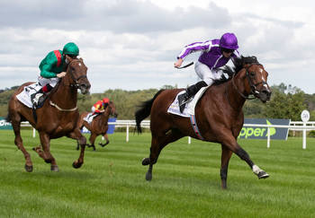 Irish Champion anchors three Breeders' Cup Challenge events at Leopardstown