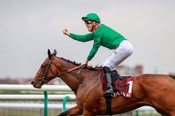 Irish Champion Stakes 2022: Vadeni Heads Leopardstown Betting
