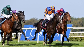 Irish Champion Stakes: Auguste Rodin holds off Luxembourg and Nashwa to land Leopardstown Group One