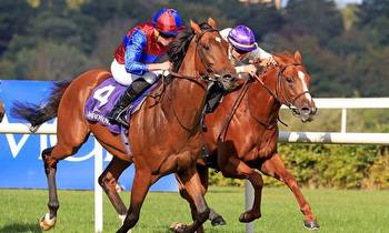 Irish Champion Stakes: Timeform preview, tip and free racecard