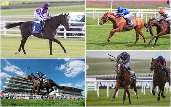 Irish Derby 2021 runner-by-runner guide to the Curragh Classic