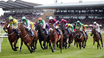 Irish Grand National each-way tips: Trends point to Stumptown and Champagne Platinum