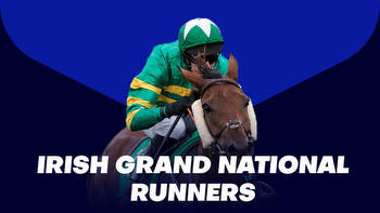 Irish Grand National Runners 2023: Check out the entries for the Fairyhouse feature
