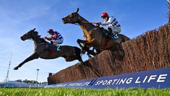 Irish Grand National tips: Templegate best bets and ultimate runner-by-runner guide to Fairyhouse showpiece