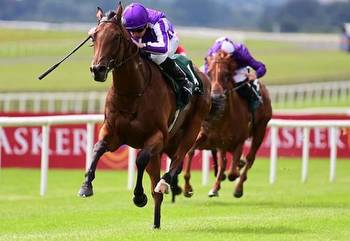 Irish Guineas Horse Racing Free Bets for Curragh Races