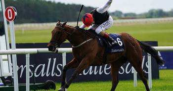 Irish Guineas winner Homeless Songs set to skip Ascot but return to race as a four-year-old