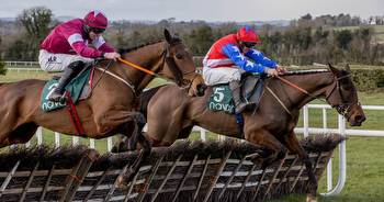 Irish horse plummets in price for Cheltenham Festival after weights announced