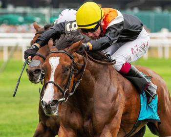 Irish Horse: stack emulates father Tommy with Group 1 success 12 July 2023 Free