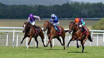 Irish raider the value pick at Goodwood