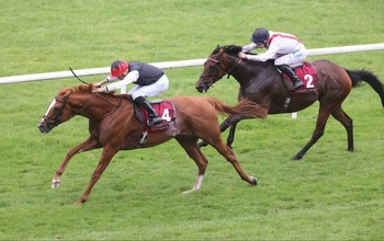 Irish St Leger tips and runners guide to Curragh 4.35 on Sunday