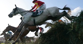 Irish-trained horses once more set to numerically dominate Aintree Grand National