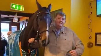 Irish trainer blasted for "cheap laugh" by animal rights group for parading horse in pub