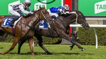Ironclad kicks off big Melbourne Cup carnival for Will Clarken