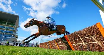 Is Cheltenham still the ‘Olympics’ of racing? Not even close