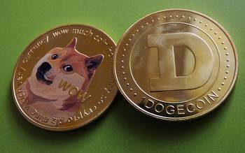 Is dogecoin worth the gamble for MMA and other sports betting?