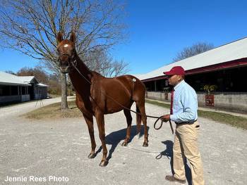 'It Kind Of Put Us On The Map': Harris Family Enjoying Ride With Classic Contender Epicenter