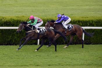 Italian horse racing makes move to international market