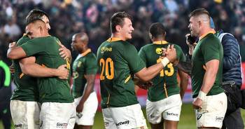Italy vs. South Africa live stream, TV channel, lineups, odds and score prediction for rugby union Test