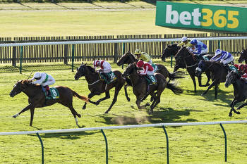 ITV Racing Tips: Check out Saturday's best bets from Newmarket and Haydock here