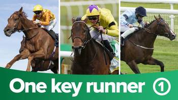 ITV Racing tips: one key runner from the nine races on ITV4 on Friday