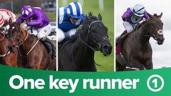 ITV Racing tips: one key runner from the seven races on ITV4 on Friday