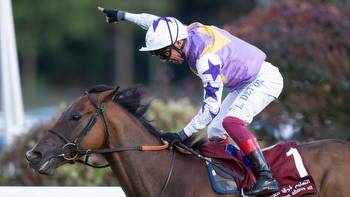 'I've always fancied the Breeders' Cup for him'