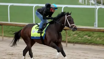 Jace’s Road Kentucky Derby Odds, Trainer, & Horse Racing Stats