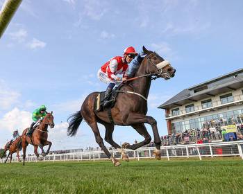 Jack Berry keen on more rain for Stewards' Cup hope Aleezdancer
