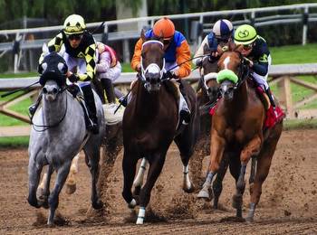 Japan: Passionate About Horse Racing