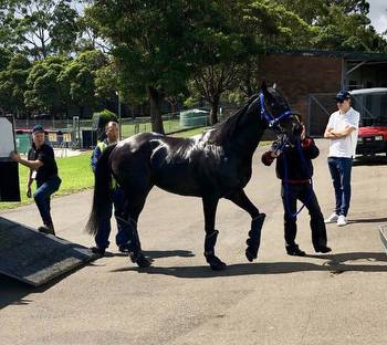 Japanese horse in Sydney for Doncaster Mile