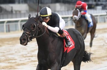 Jerome Stakes 2024: Odds and analysis for Ky. Derby prep