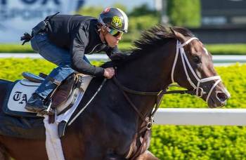Jim Dandy Stakes 2023: Horse Racing Nation expert picks