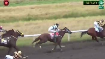 jockey reportedly banned for life after pushing off fellow rider mid-race