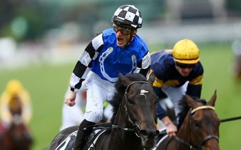 Jockey's gutsy call pays off for Melbourne Cup win