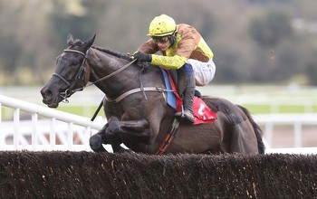 John Durkan tips and runners guide to Punchestown 2.30