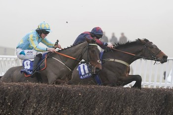 John McConnell rues lost shoes for gallant Coral Gold Cup runner-up Mahler Mission