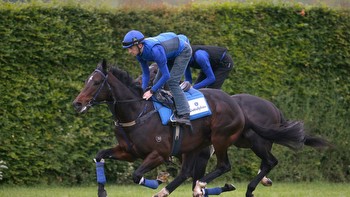 John O'Shea excited by Holler ahead of Royal Ascot