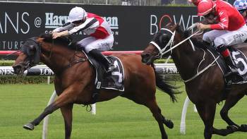 John O'Shea: The Gong highlights increased depth in Sydney racing