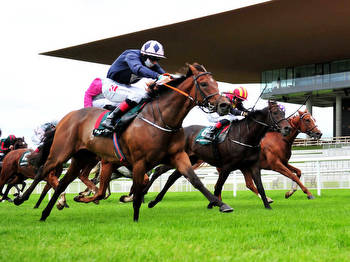 Johnny Ward: Get ready for a stellar day of action at the Curragh