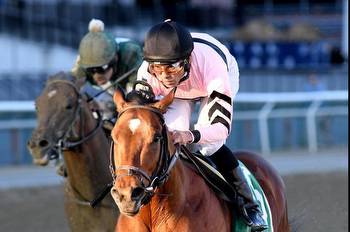 Jolie Olimpica, Magic Star post impressing wins in weekend horse racing
