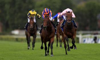 Juddmonte International: Timeform preview and free Race Pass