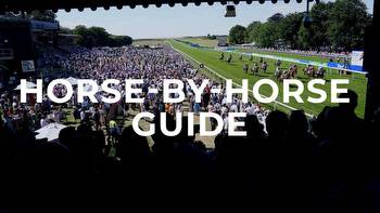 July Cup tips: In-depth guide and Value Bet shortlist for Newmarket feature